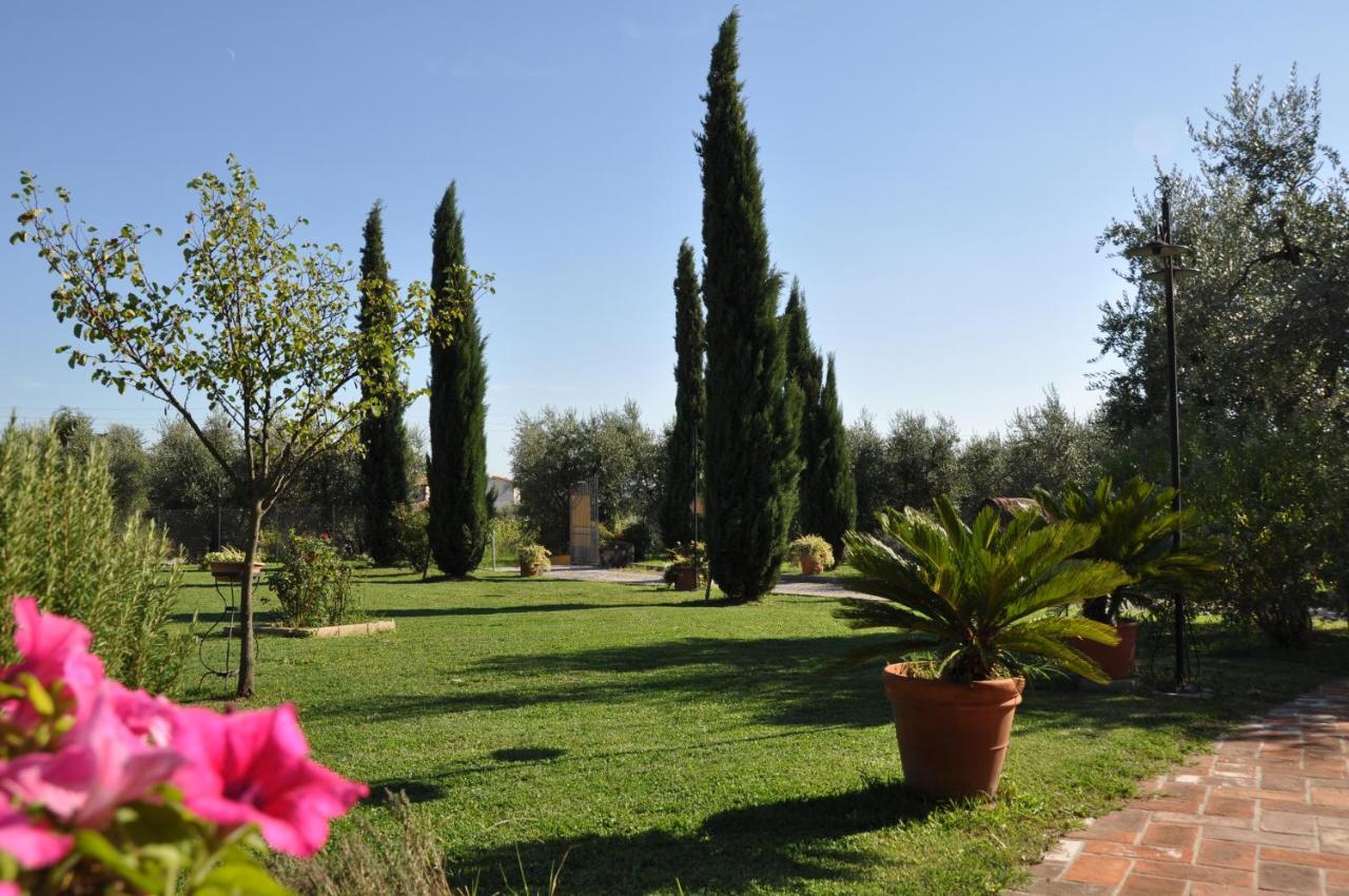 Agriturismo Tori 2 Montecarlo Bagian luar foto