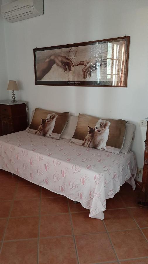Agriturismo Tori 2 Montecarlo Bagian luar foto
